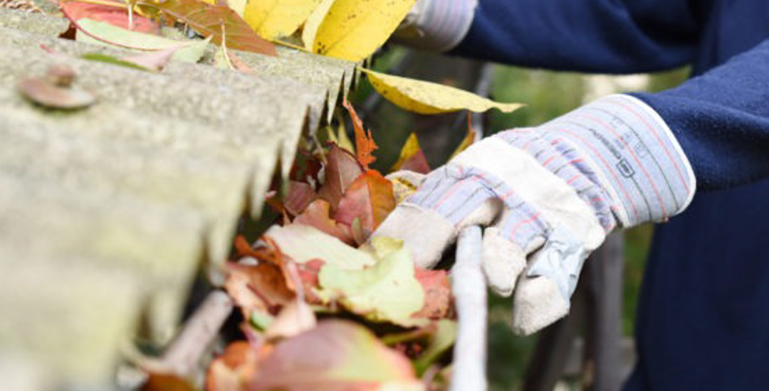 Spring Cleaning Your Roof in Baton Rouge: To Do and Not to Do