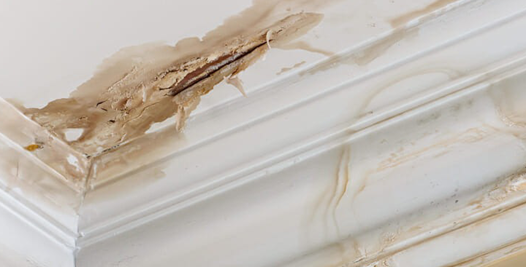 Signs of a Roof Leak