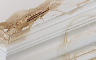 Signs of a Roof Leak